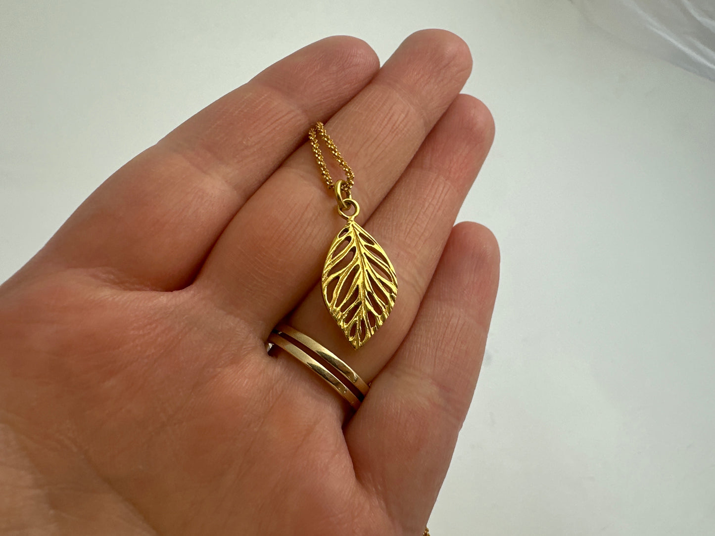 Everlasting leaf