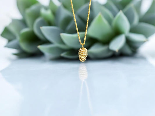 The Forbidden Pinecone